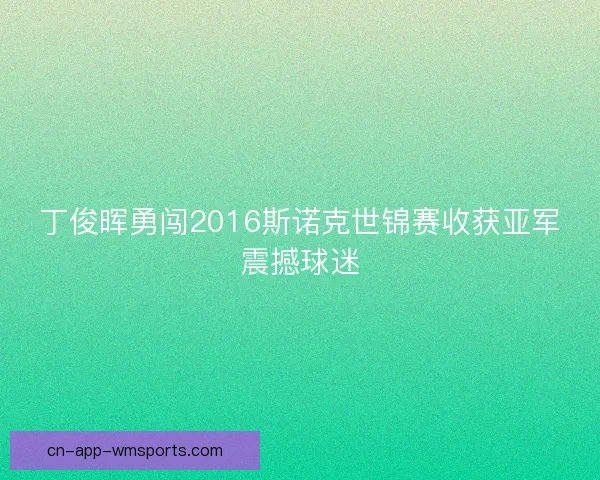 丁俊晖勇闯2016斯诺克世锦赛收获亚军震撼球迷