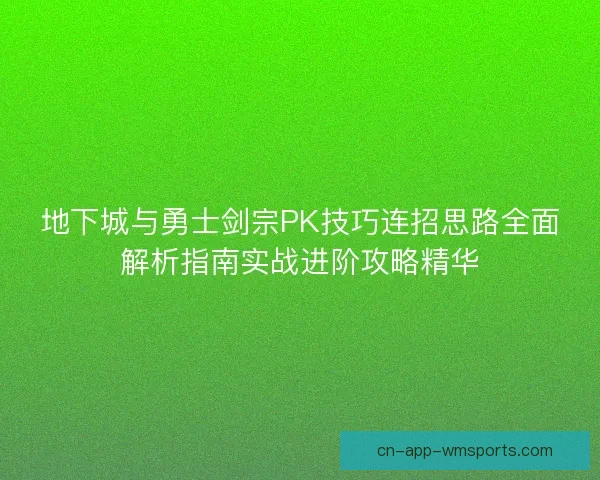 地下城与勇士剑宗PK技巧连招思路全面解析指南实战进阶攻略精华