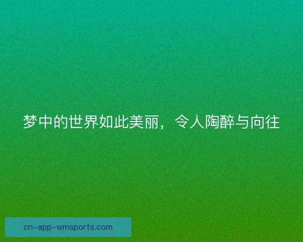 梦中的世界如此美丽，令人陶醉与向往