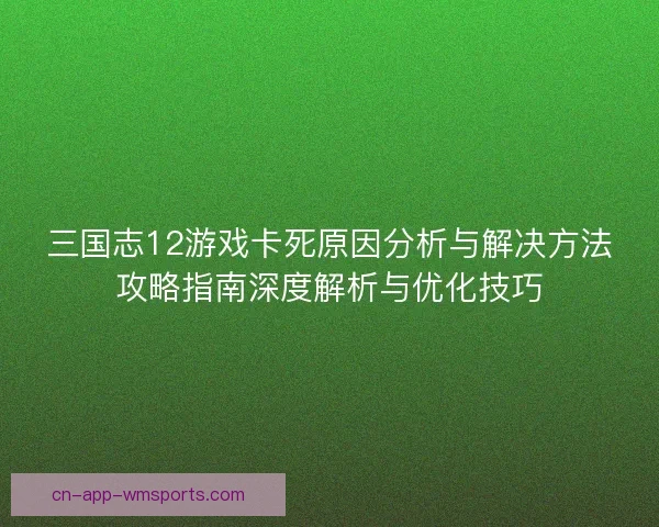 三国志12游戏卡死原因分析与解决方法攻略指南深度解析与优化技巧
