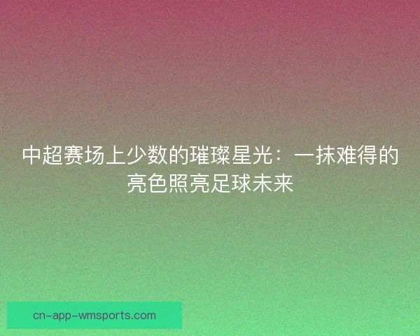 中超赛场上少数的璀璨星光：一抹难得的亮色照亮足球未来