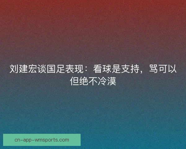 刘建宏谈国足表现：看球是支持，骂可以但绝不冷漠